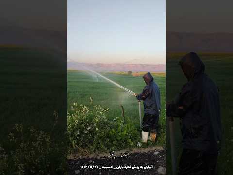 آبیاری زمینهای کشاورزی به روش قطره باران لاسبید بهبهان ۱۴۰۲ ۱۱ ۲۰ بهبهان پاتوق