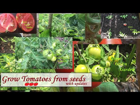 Recommended Reading List For Maintaining Fruit Trees For An