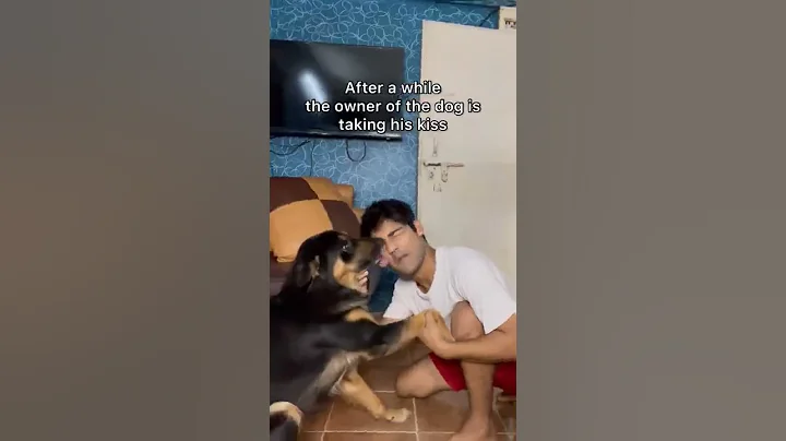 Dog licking his pp | Abhi shorts - DayDayNews