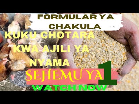 KUKU FARM IJUE FOMULA YA CHAKULA CHA KUKU CHOTARA NYAMA SEHEMU YA KWANZA COLENDFARM 