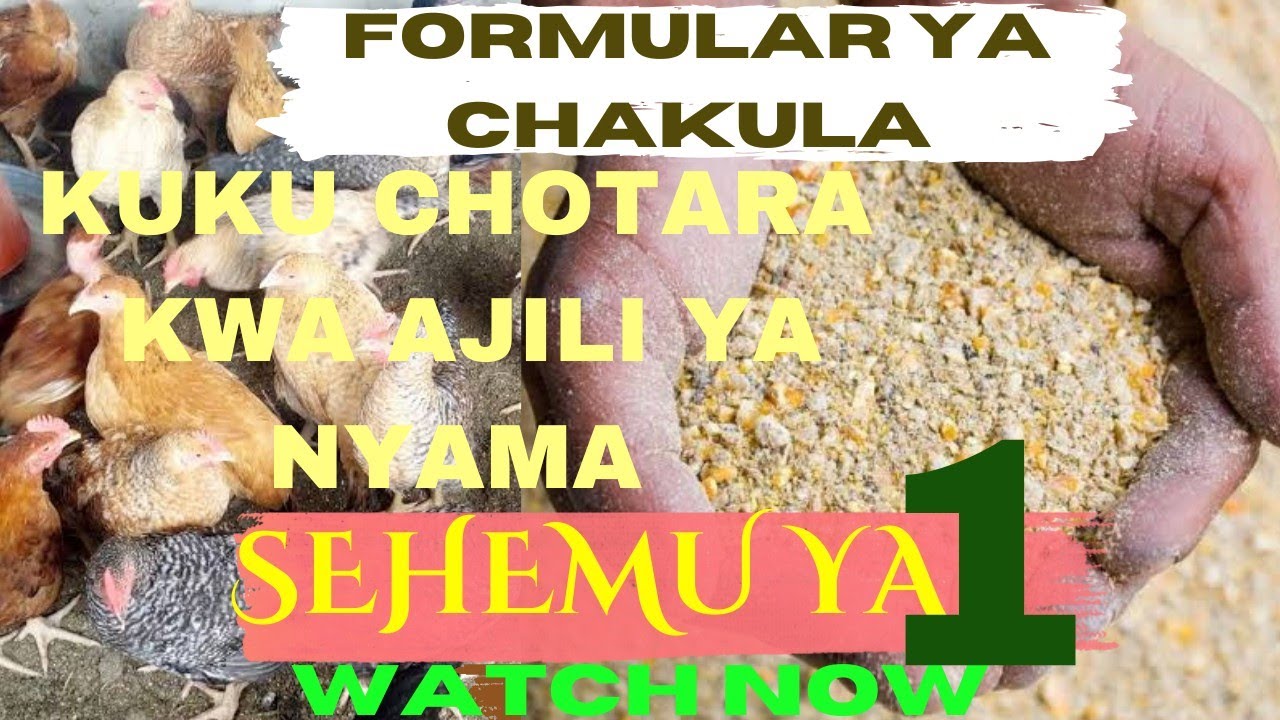 KUKU FARM.IJUE FOMULA YA CHAKULA CHA KUKU CHOTARA(NYAMA) SEHEMU YA KWANZA.@COLENDFARM