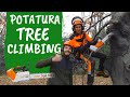 Come POTARE una pianta secolare: POTATURA in tree climbing
