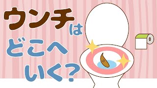 【絵本 読み聞かせ】流れたウンチは水になる！？子供のなんで？どうして？が学べるウンチの読み聞かせ絵本／ウンチはどこへ行く？（うんちはどこへいく？）