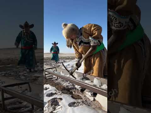  ابو حشحوشة في سهوب منغوليا المتجمدة اكل  لحم 