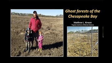 April After Hours Lecture: Ghost Forests