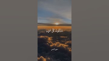 أَوَلَيْسَ الَّذِي خَلَقَ السَّمَاوَاتِ وَالْأَرْضَ بِقَادِرٍ || سورة يس || علي جابر
