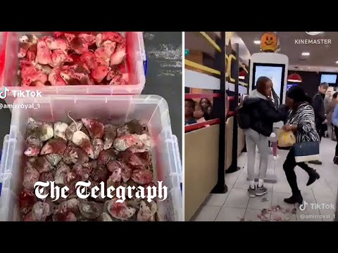 Pro-Palestine activist releases box of rodents into a McDonald's in Birmingham