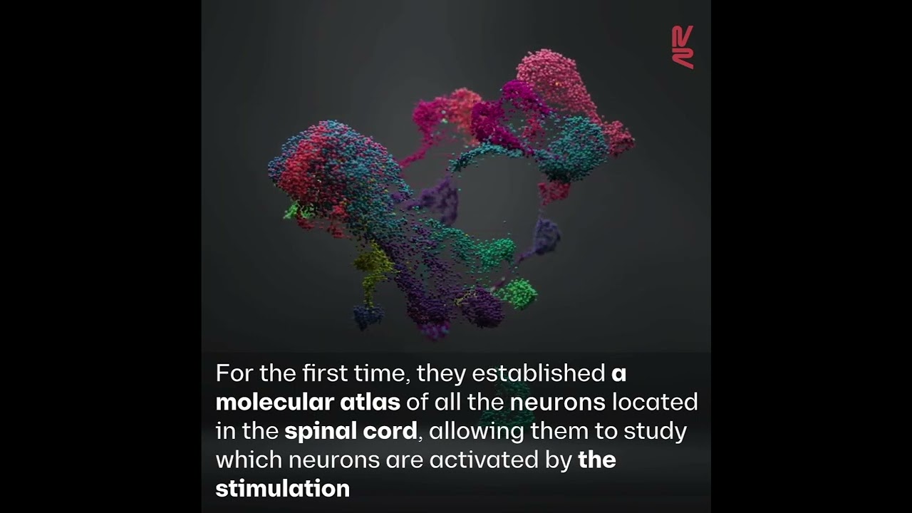 Swiss Federal Institute of Technology Lausanne, EPFL | myScience /  directory / universities