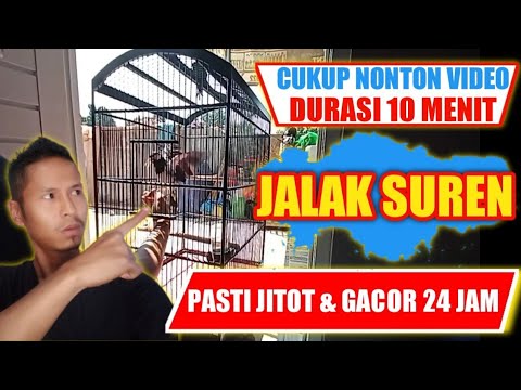 Video: Interaksi Dengan Majikan