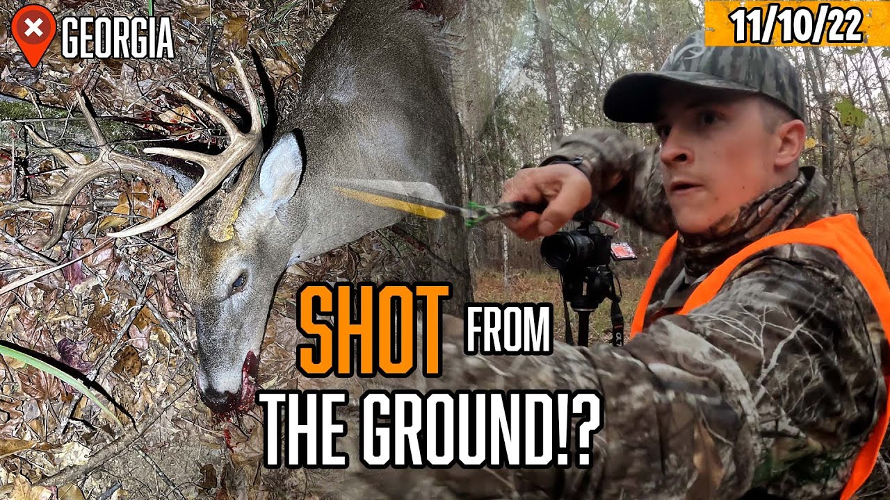 PUBLIC LAND 10 Point from the GROUND 2 Archery KILLS