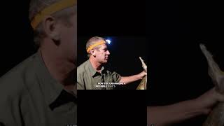 part-13 Hunting &amp; Trapping Man-Eating Crocodile | Carter's  WAR (The Animal club English) #wildlife