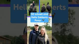 Wie schnell sind Hellas Ponys wirklich? 🐎💨 #youtubenews #hellagabbert #pferde #reel  #toggo
