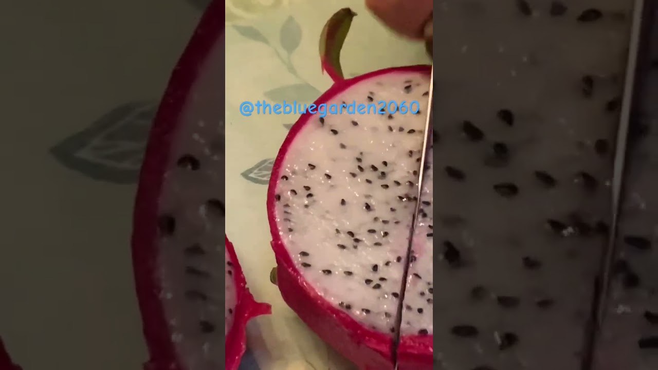 Dragon Fruit , White Vietnamese       