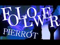FOLLOWER / PIERROT ギター弾いてみた