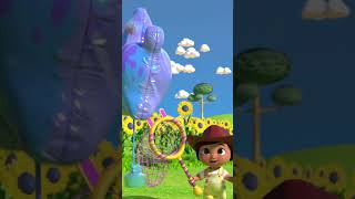 ヒツジのけいと