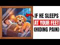 If he sleeps at your feet → This means he is hiding this serious pain!