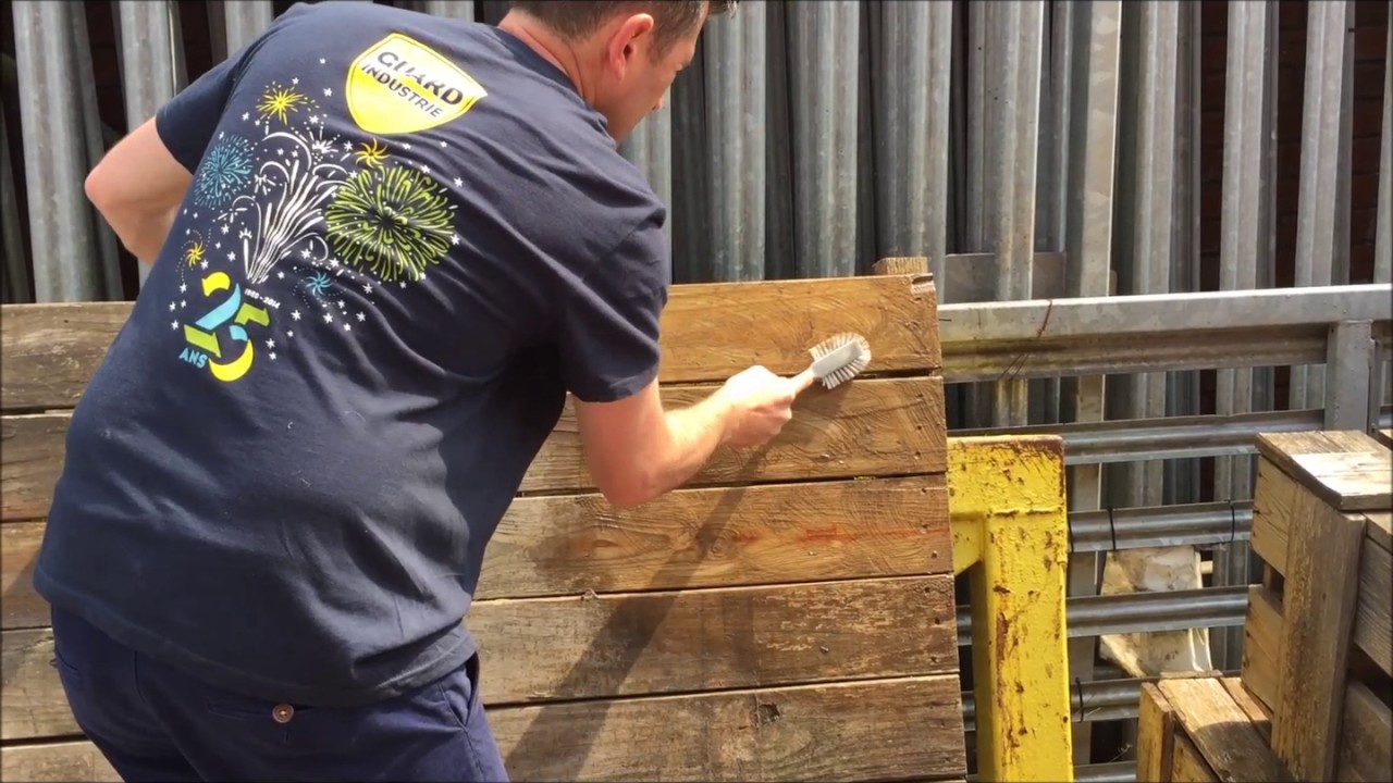 Application of Guard Wash on wood