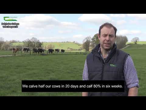 Dairy Enterprise at Ballyhaise College  Donal Patton