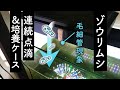 【メダカ】ゾウリムシ24時間連続点滴＆培養ケース