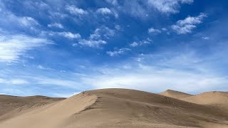 CUERVITOS DUNAS ‼️ MEXICO