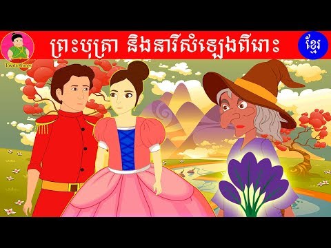រឿងនិទាន ព្រះបុត្រា និង នារីសំឡេងពីរោះ|Khmer Cartoon|Tokata Khmer Animation|Khmer Cartoon Film