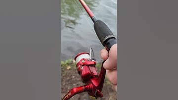How To Properly Cast A Spinning Reel #fishing #spinningreel