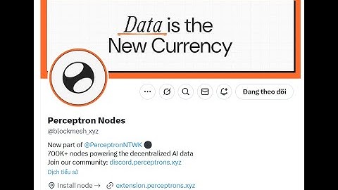 BlockMesh đã chính thức sát nhập vào dự án Perceptron Network và đổi tên thành Perceptron nodes