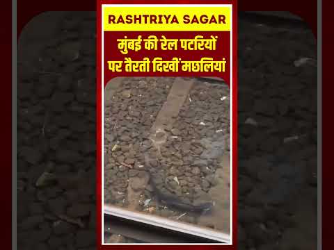 Short video