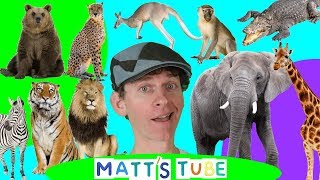 Wild Animals | Matt's Tube #1 | Learning Wild and Zoo Animals for Kids