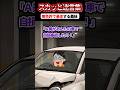 「あんたが事故ったことにしなさいw」と無免許で車を大破させた義妹を庇う義母 → 通報して即検挙させた結果ww #スカッと #スカッとする話 #修羅場 #2ch