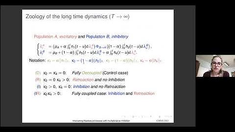 Céline Duval - Interacting Hawkes processes with multiplicative inhibition