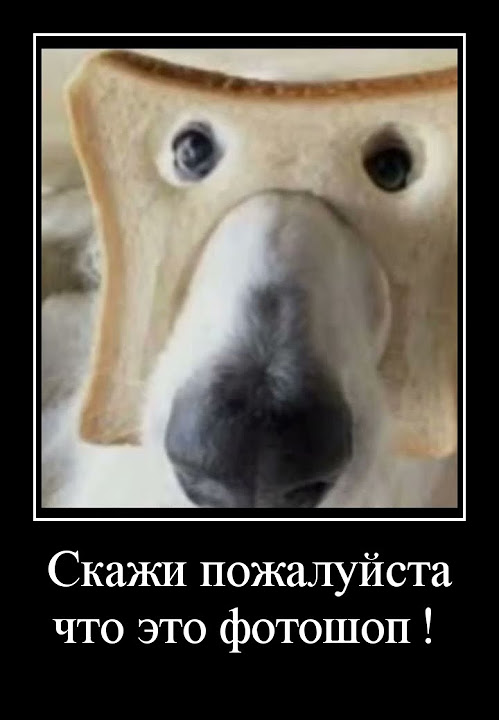 Скажи, это фотошоп?! - YouTube