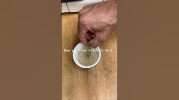 How to Make Easy Homemade Slug Bait (and Why Beer Isn