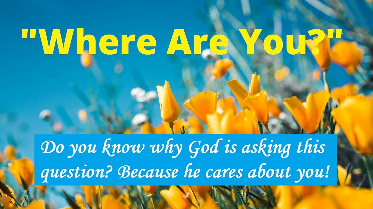 Find Who Is Searching For You By Name
