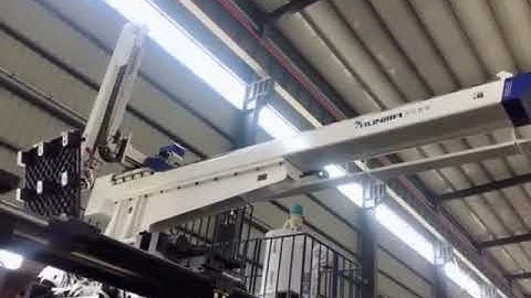 Large full servo motor 3 axis robot used for take out pallet