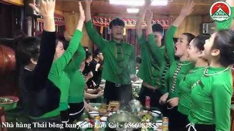 Nhà hàng Thái bông ban xanh Lào Cai