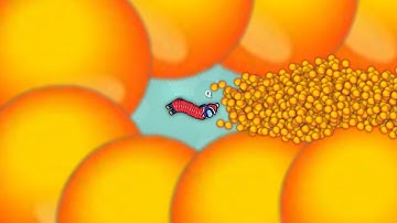 Snake.io Lovely Snake Pro Skill Epic Snake io Android Gameplay