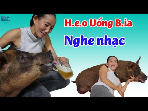 Người phụ nữ cưng h.e.o nhất VN II ĐỘC LẠ BÌNH DƯƠNG