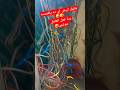 يانهاار ابيض اي ده ياهندسه ردة فعل العامل موتتني ضحك