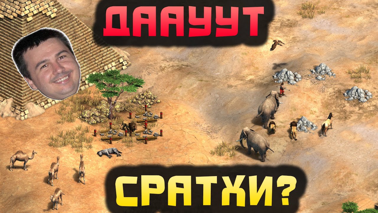 🤪 ДАУТ делает даут вещи даже в финале турнира [Age of Empires 2] - YouTube