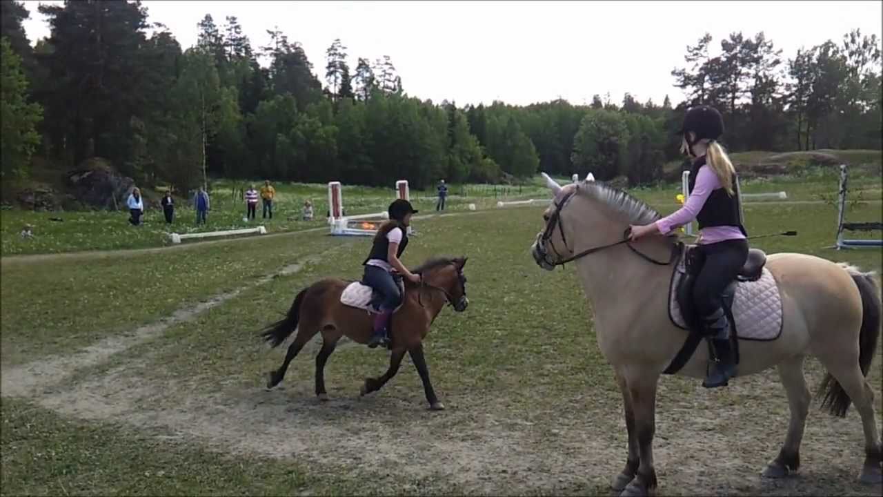 Hjälmsätra Gård 2011