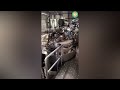 1500 Kgs Per Batch Cosmetic Plant on Turnkey Basis in India by Goyum Group - India