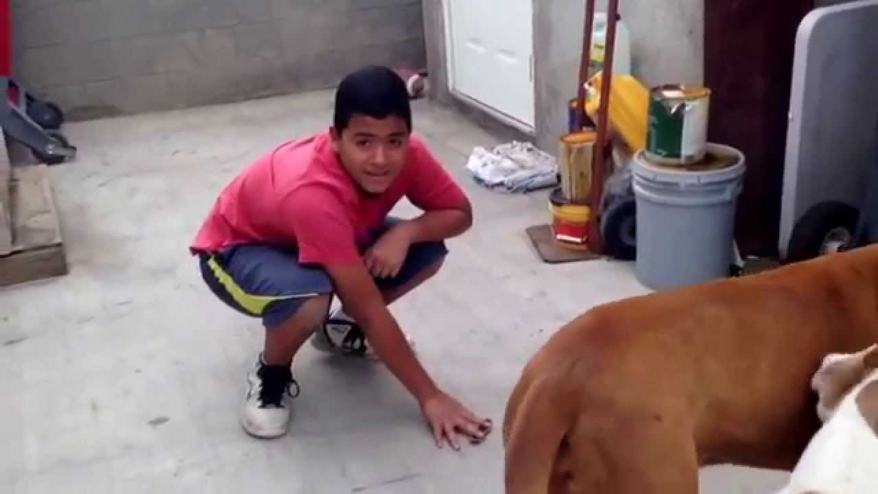 World's best Highest OLLIE on tech deck!!! - YouTube
