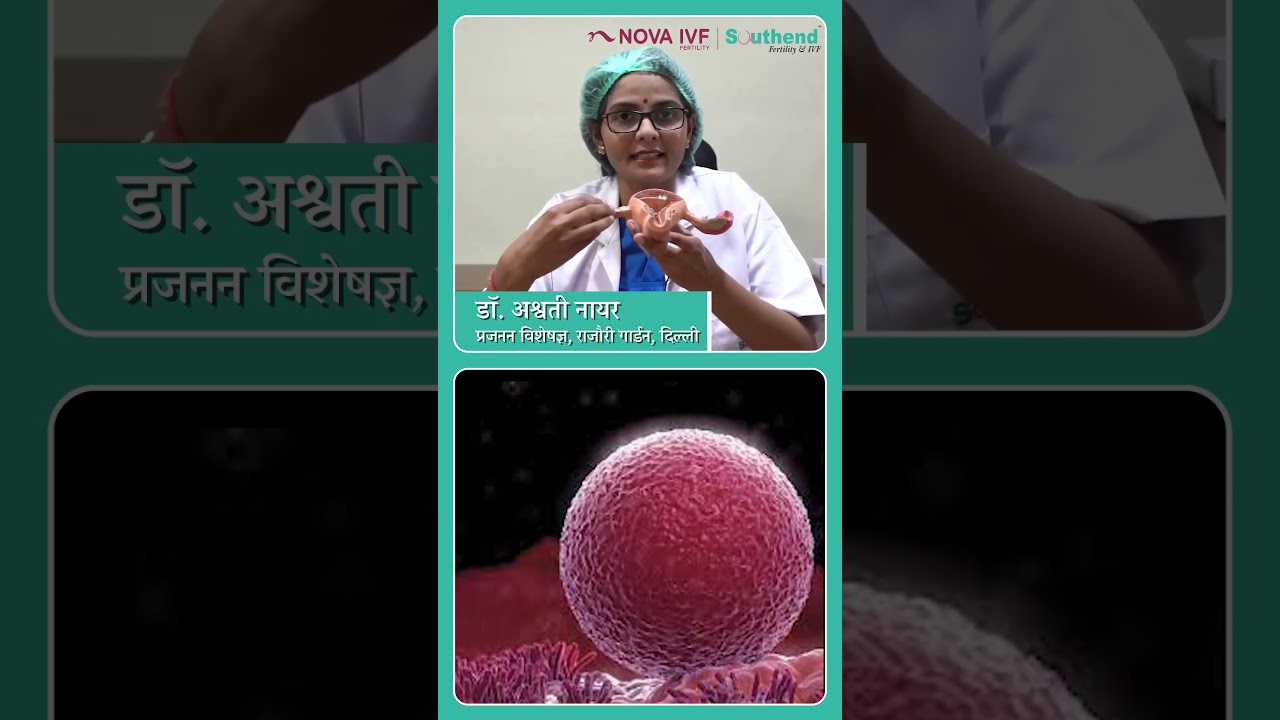 How pregnancy happen? |Dr Aswati Nair | IVF Specialist | Nova IVF Rajouri Garden | Delhi NCR |