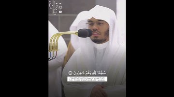 ﴿يتَفَيَّأُ ظِلالهُ عَنِ اليَمينِ والشَّمائِلِ سُجَّدًا لِلَّه﴾ من سورة النحل للشيخ ياسر الدوسري 🤍.