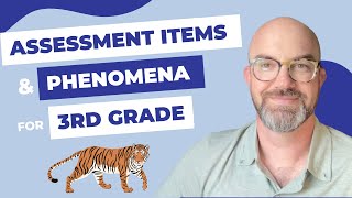 3rd Grade NGSS Phenomena & Assessment
