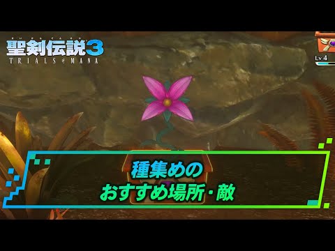 【聖剣伝説3リメイク】種集めのおすすめ場所 | 聖剣伝説3リメイク攻略