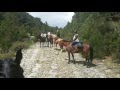 Ruta a caballo por Gredos