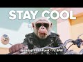 Christmas Desert Noir Chill-Funk Guitar #christmasvibes