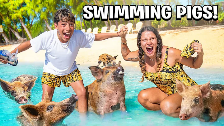 We Finally SWAM with PIGS in the Bahamas!